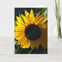 Sunflower Greetings - Blank Inside