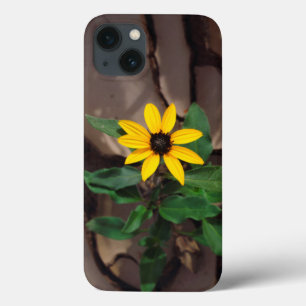Sunflower growing from Cracked Mud iPhone 13 Case