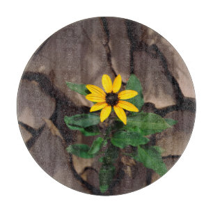 Sunflower growing from Cracked Mud Cutting Board