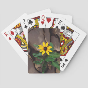 Sunflower growing from Cracked Mud Playing Cards