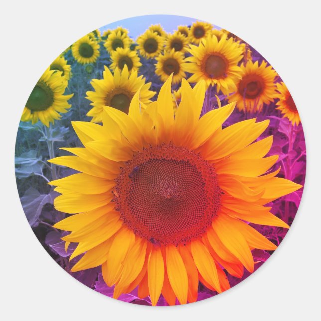 Sunflower Harvest Colourful Rainbow Sticker (Front)