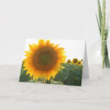 Sunflower heart card (blank)