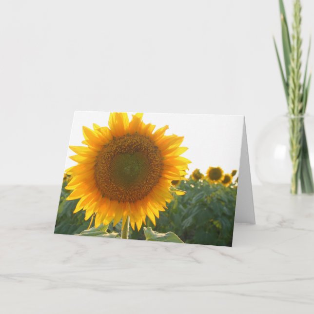 Sunflower heart card (blank) (Front)