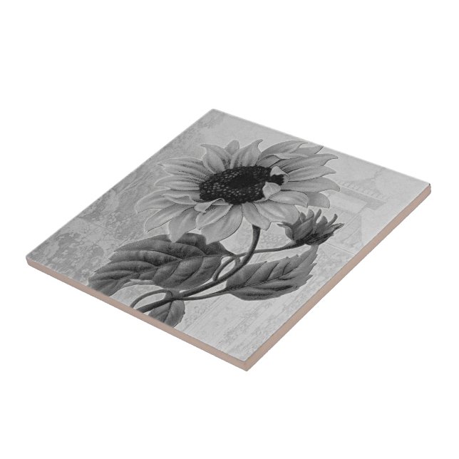 Sunflower Helianthus Monochrome Ceramic Tile (Side)