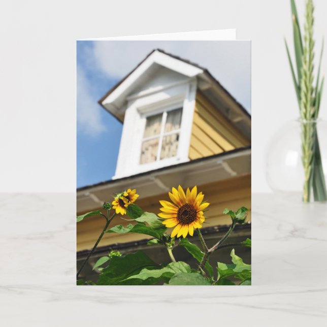 Sunflower House yellow flowers summer Card (Front)