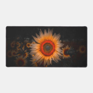 Sunflower in bloom desk mat