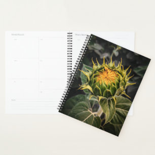 Sunflower in Bloom Planner