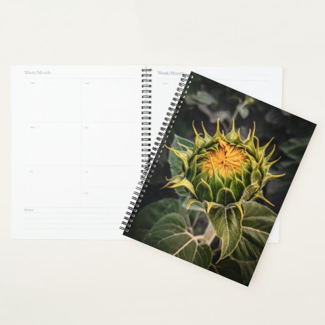 Sunflower in Bloom Planner (Display)