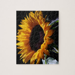 Sunflower in studio 1 jigsaw puzzle
