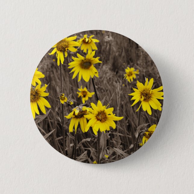 Sunflower in the Rocky Mountain 6 Cm Round Badge (Front)