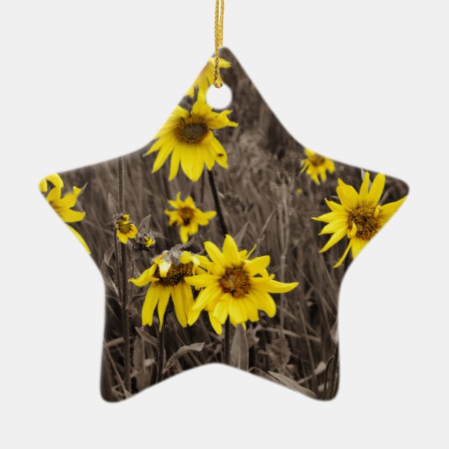 Sunflower in the Rocky Mountain Ceramic Ornament (Front)