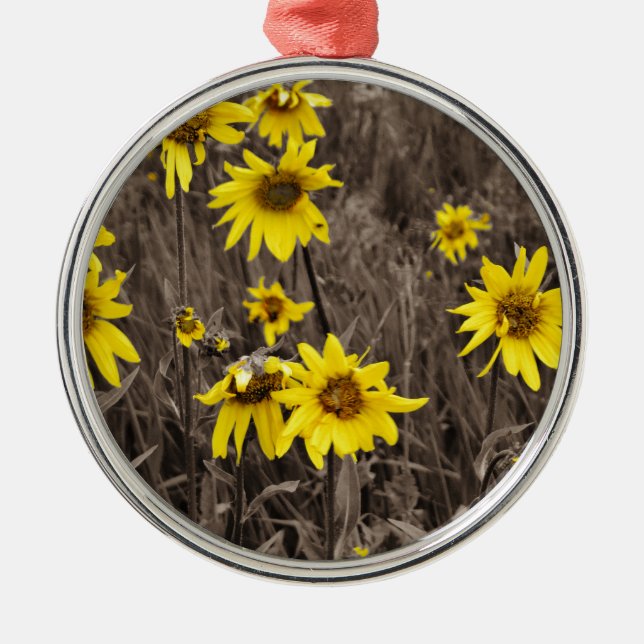 Sunflower in the Rocky Mountain Metal Ornament (Front)