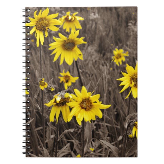 Sunflower in the Rocky Mountain Notebook (Front)