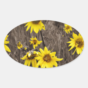 Sunflower in the Rocky Mountain Oval Sticker