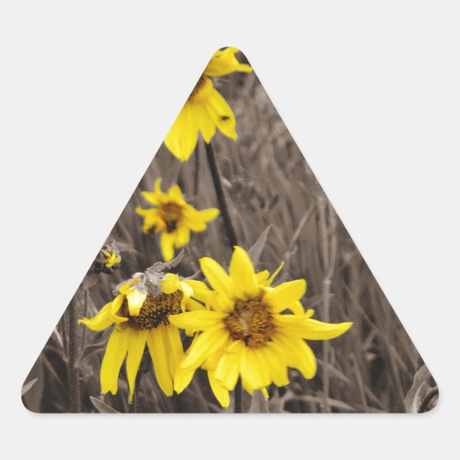 Sunflower in the Rocky Mountain Triangle Sticker (Front)