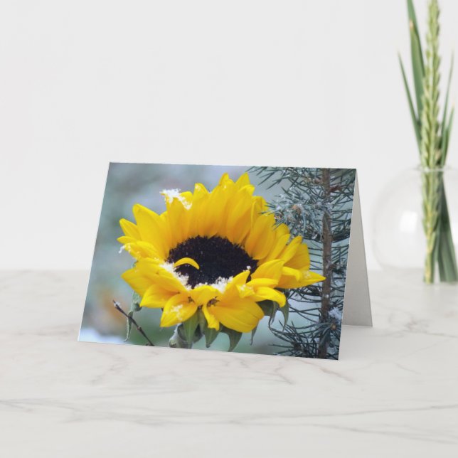 Sunflower in the Snow Get Well Card (Front)