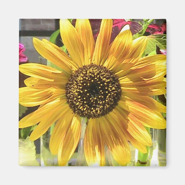 Sunflower in the Sun Magnet (Front)