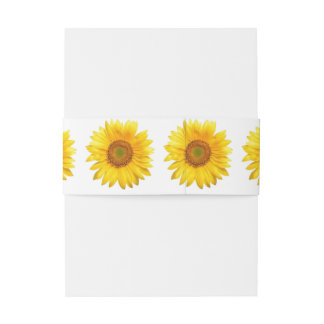 Sunflower Invitation Belly Band