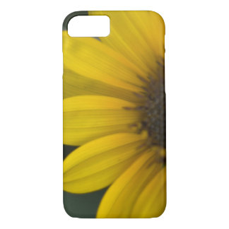 Sunflower iPhone 7 case