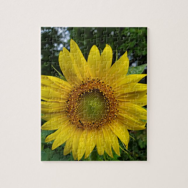 Sunflower  jigsaw puzzle (Vertical)