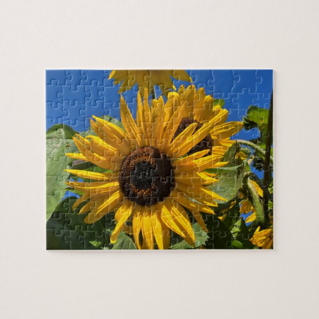 Sunflower Jigsaw Puzzle (Horizontal)