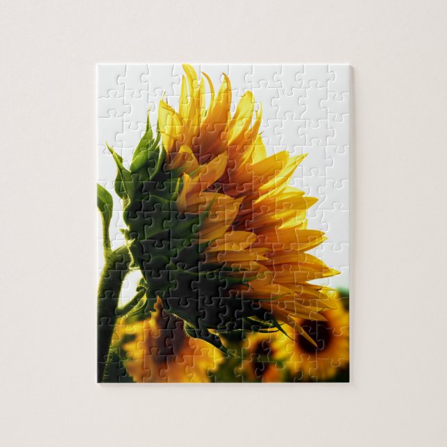 Sunflower Jigsaw Puzzle (Vertical)