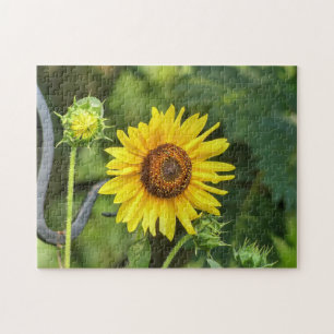 Sunflower Jigsaw Puzzle