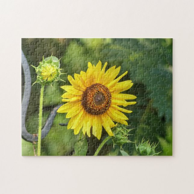 Sunflower Jigsaw Puzzle (Horizontal)
