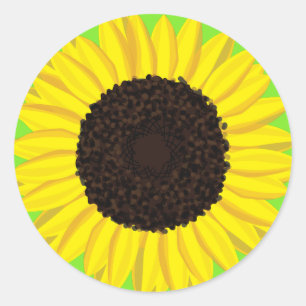 Sunflower Kid's Birthday Summer Cute Flowers Classic Round Sticker