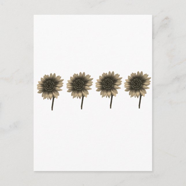 Sunflower Live, Laugh, Love Postcard (Front)