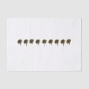 Sunflower Live, Laugh, Love Tissue Paper