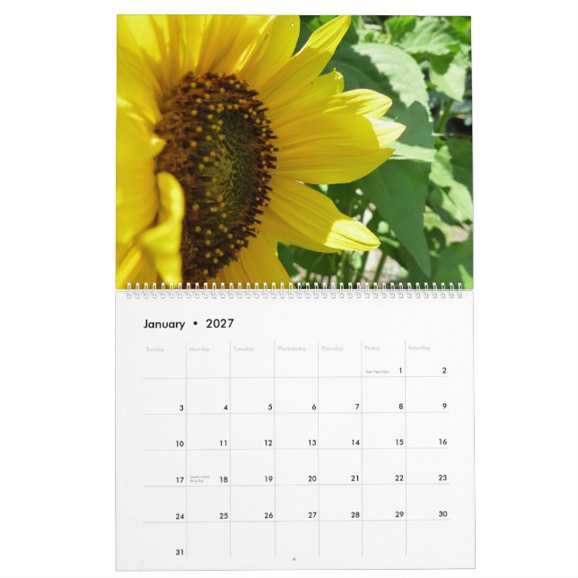 Sunflower Love Calendar (Jan 2027)