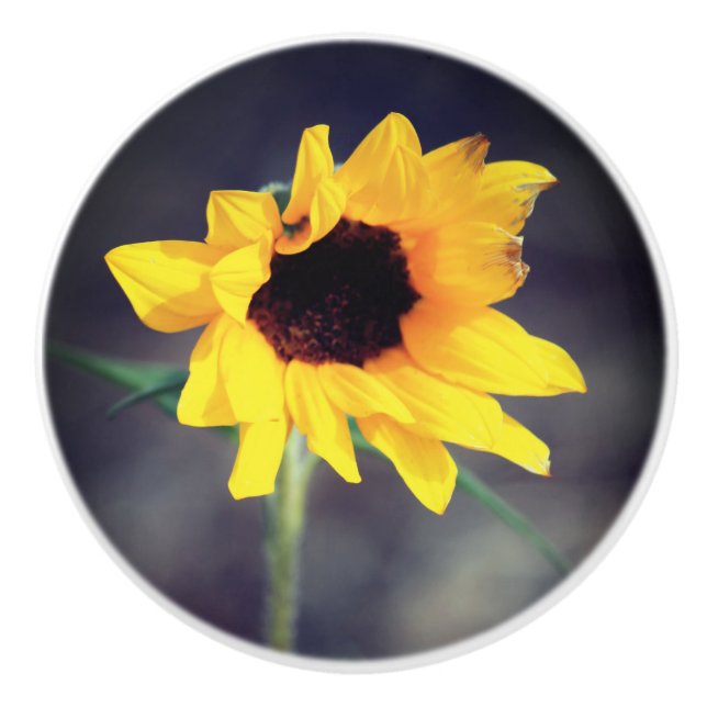 Sunflower Love Ceramic Knob (Front)