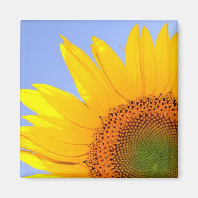 Sunflower Magnet (Front)