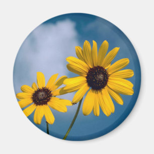 Sunflower Magnet