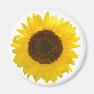 Sunflower Magnet