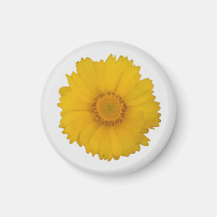 Sunflower Magnet