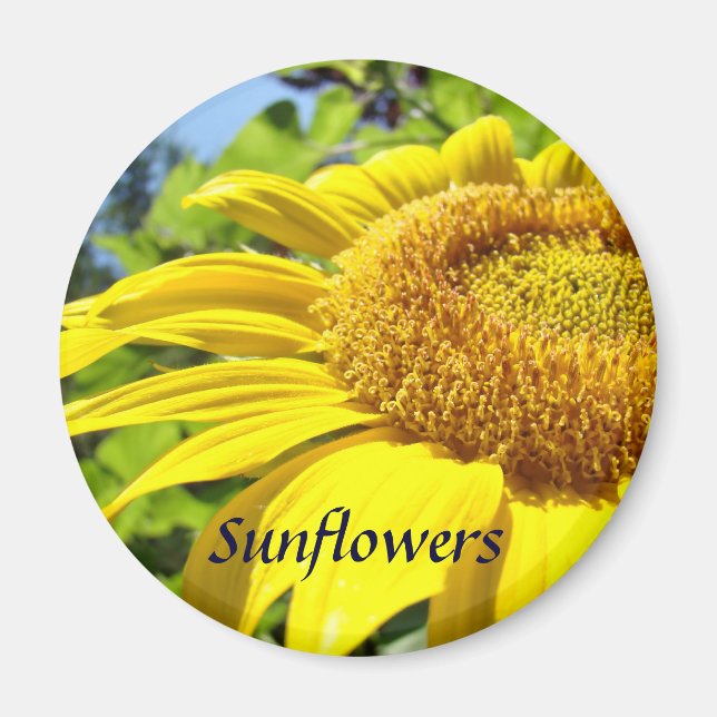 Sunflower magnet Summer Floral Sun Flower magnets (Front)