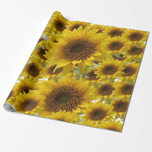 Sunflower Matte Wrapping Paper (Unrolled)