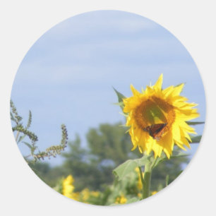 Sunflower Monarch - Customise! Classic Round Sticker