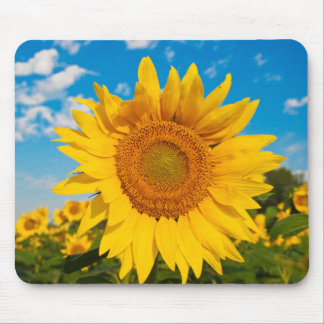 Sunflower Mouse Pad