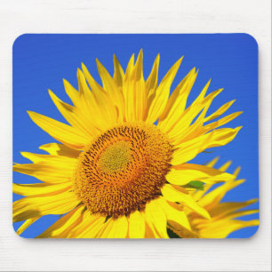 Sunflower Mouse Pad