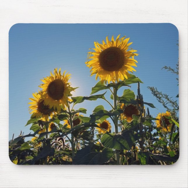 Sunflower Mouse Pad (Front)