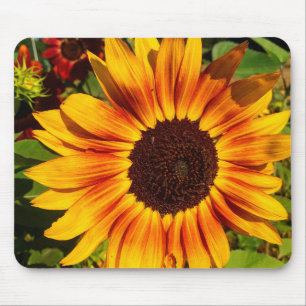 Sunflower Mouse Pad