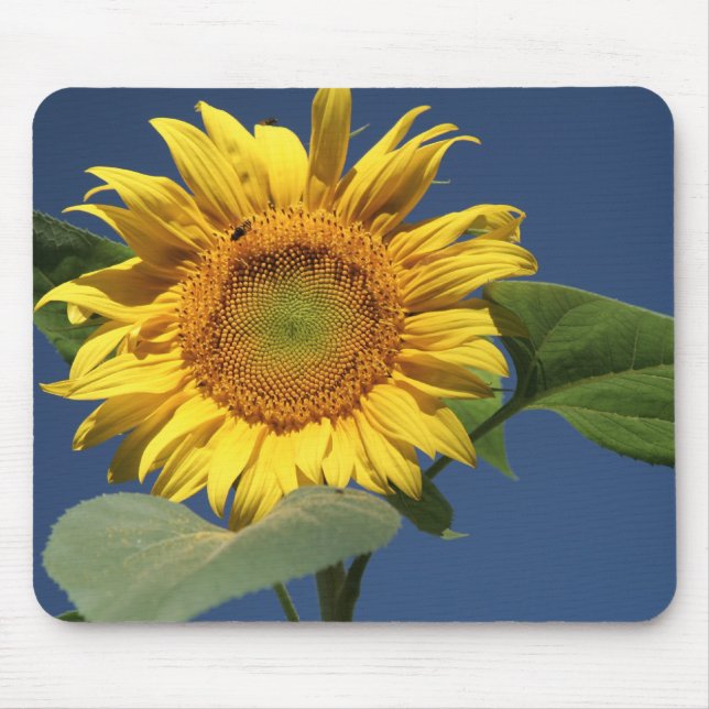 Sunflower Mousepad (Front)