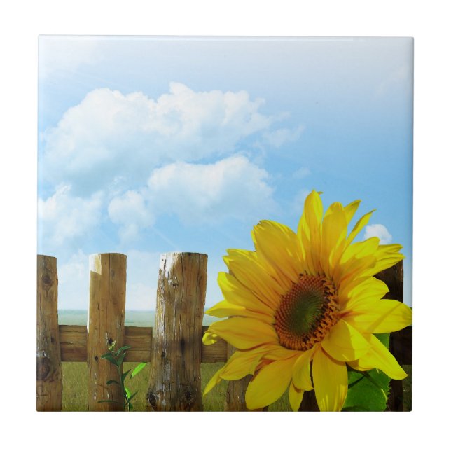 Sunflower Nature Beauty Ceramic Tile (Front)