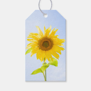Sunflower Nature Photo Gift Tags