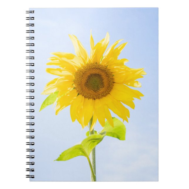 Sunflower Nature Photo Notebook (Front)