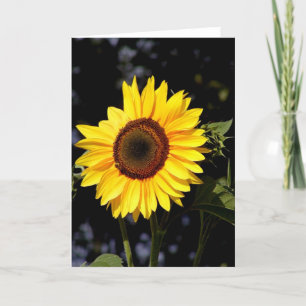 Sunflower Note Card
