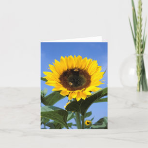 Sunflower Note Card